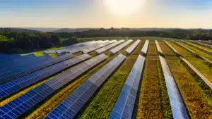 Jones Power Expands Texas Solar Infrastructure with Peregrine Project